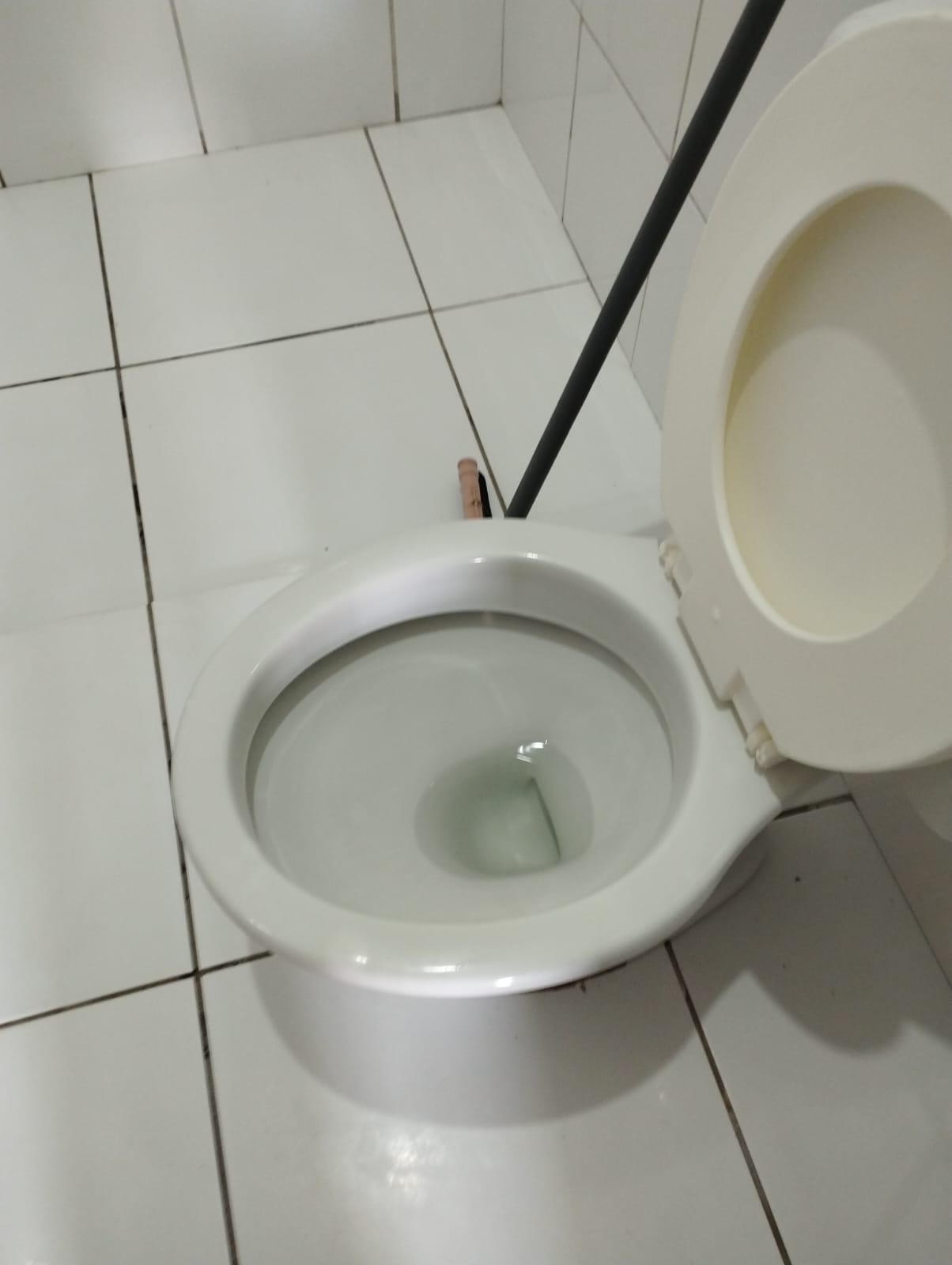 DEPOIS: Vaso sanitário limpo e higienizado após serviço de limpeza.